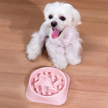 Anti-Choking Slow Feeder Dog Bowl for Small Dogs - Pawlody