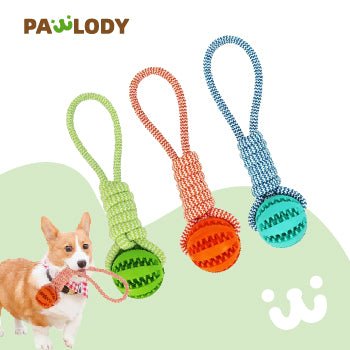 Dog Toys Balls - Pawlody