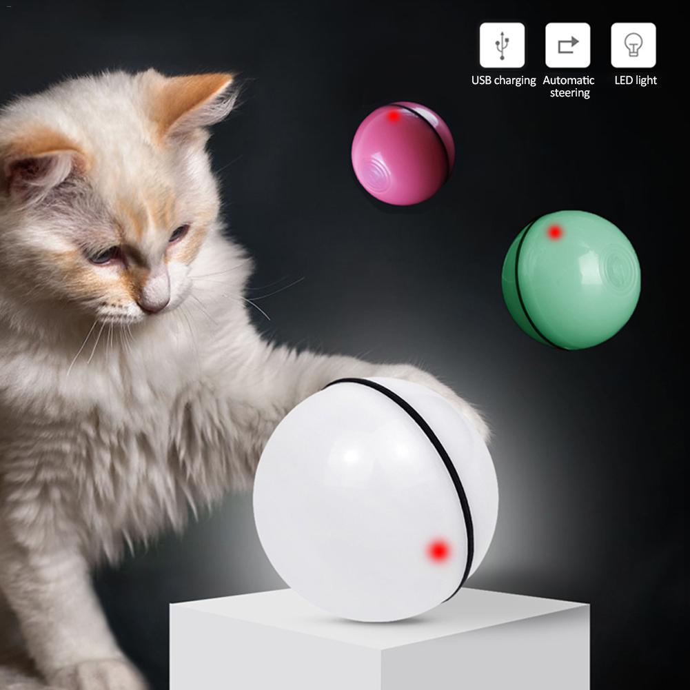 LED Laser Cat Roller Toy - Pawlody