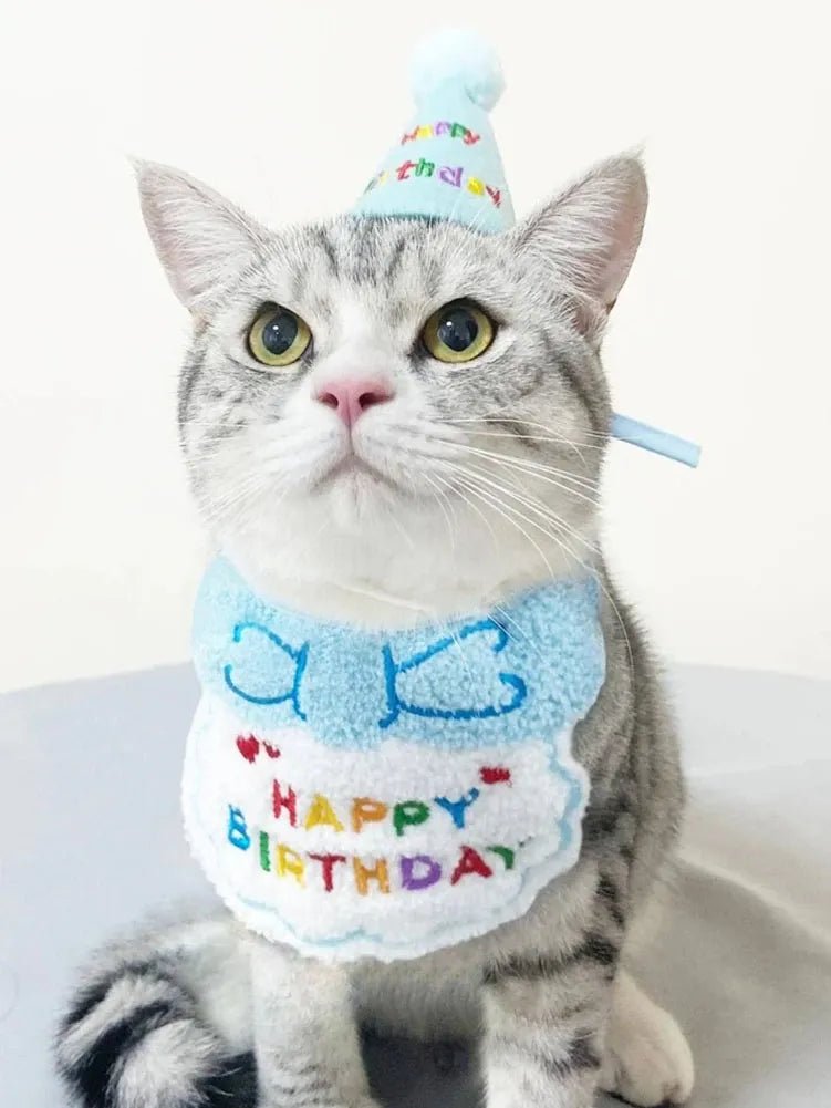 Pet Birthday Outfit Set with Hat & Bandana - Pawlody