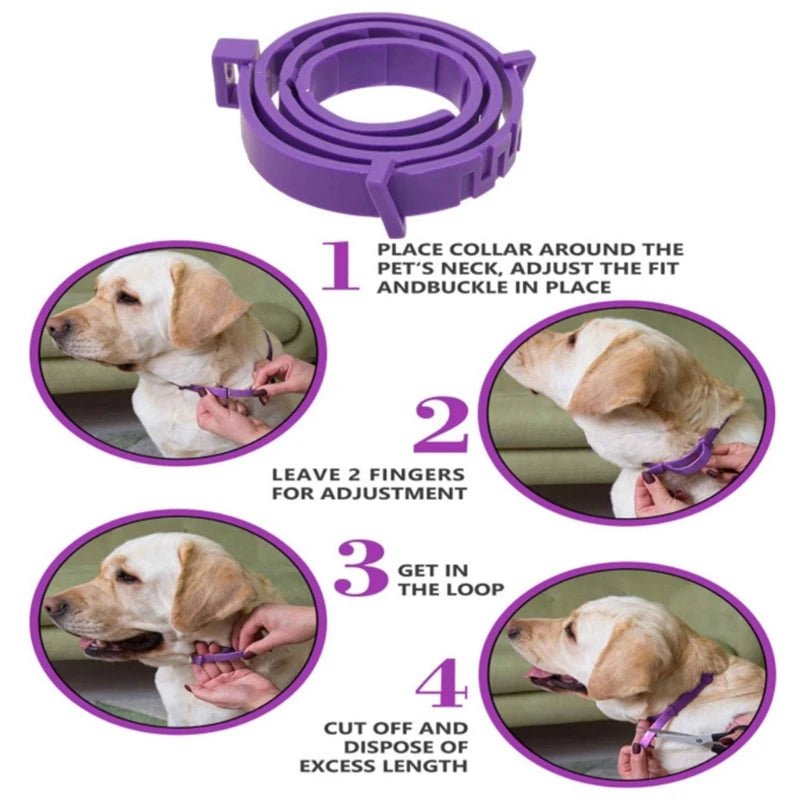 Pet Calming Collar - Pawlody