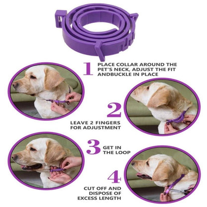 Pet Calming Collar - Pawlody