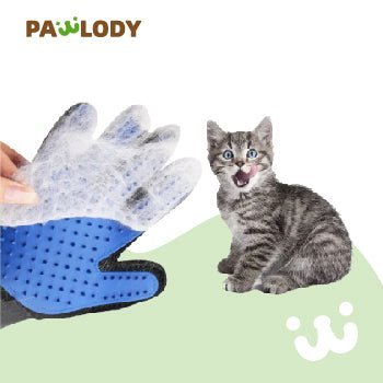 Pet Cleaning Glove - Pawlody